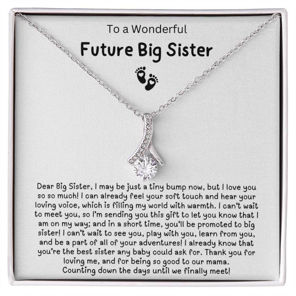 To a Wonderful Future Big Sister - Gift from baby Bump to Big Sister - Counting down the days until we finally meet!